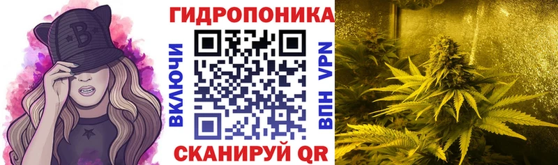 Марихуана марихуана  закладка  Шилка 